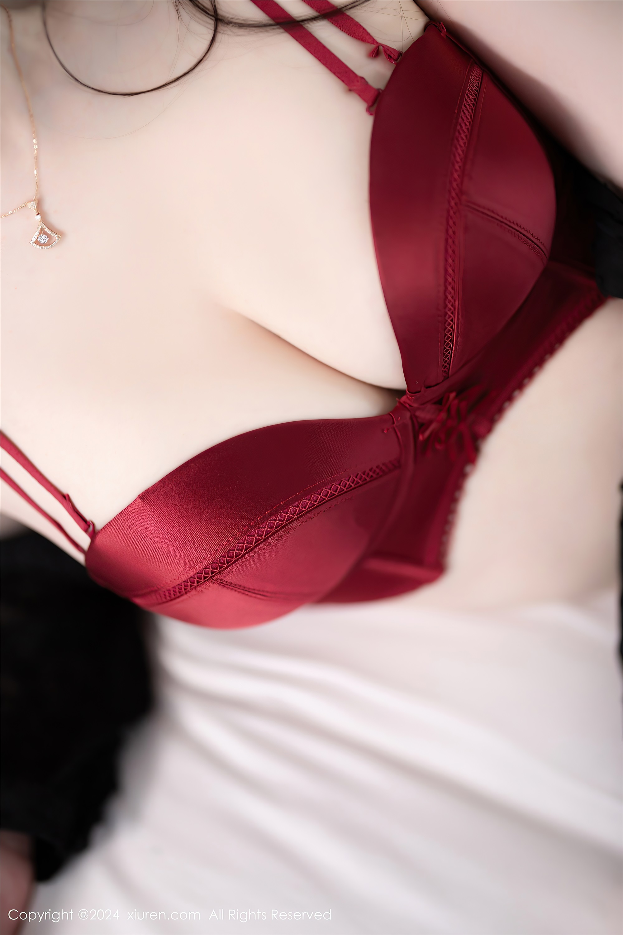 Xiuren秀人网 2024.04.08 NO.8354 梦心玥